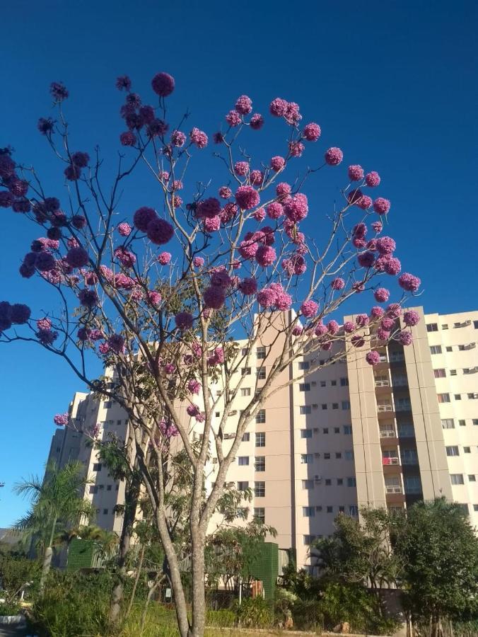 Apartamento Ecologic Park Caldas Novas Extérieur photo